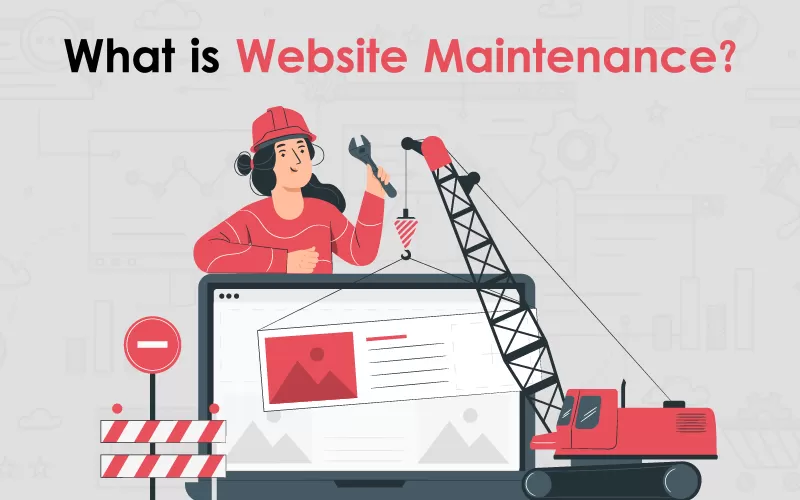 What is Website Maintenance